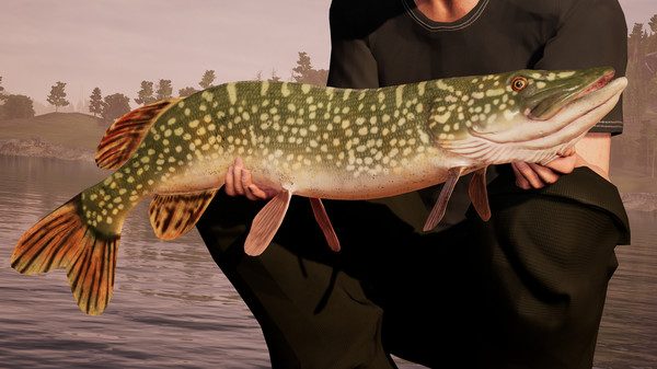 fishing sim world