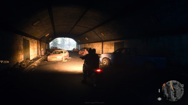 Days Gone jagatplay 155