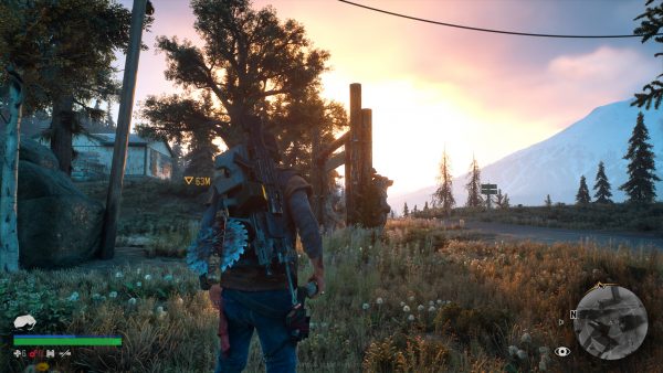 Days Gone jagatplay 282