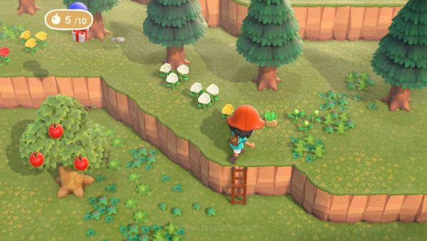 Preview Animal Crossing – New Horizons: Hidup Demi Cicilan! 10 animal crossing new horizons jagatplay part 1 112