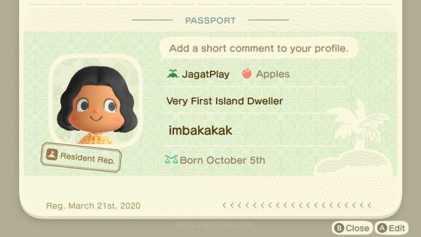 Preview Animal Crossing – New Horizons: Hidup Demi Cicilan! 2 animal crossing new horizons jagatplay part 1 14