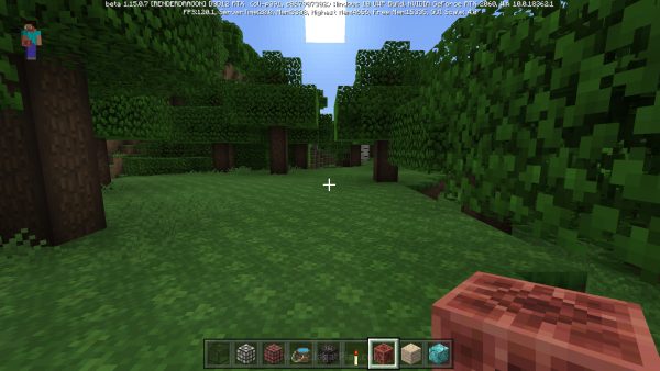 Minecraft RTX beta jagatplay 46