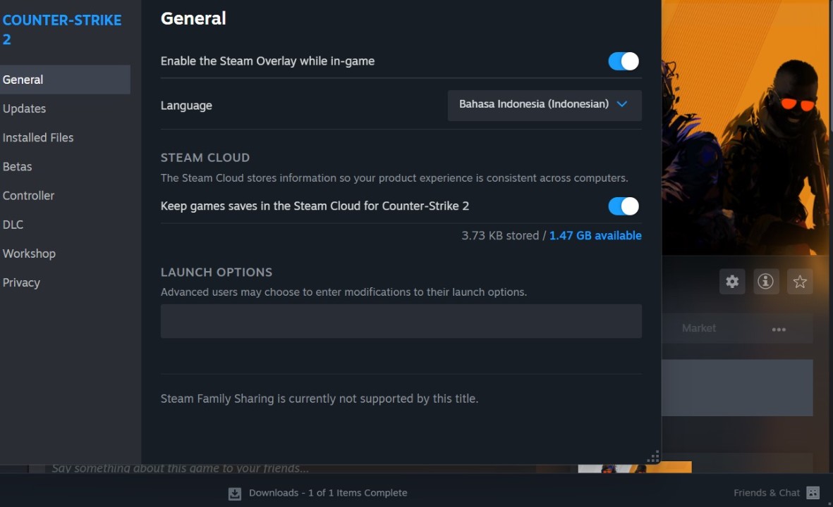 Counter-Strike 2 Kini Dukung Bahasa Indonesia! 2 cs2 bahasa indonesia