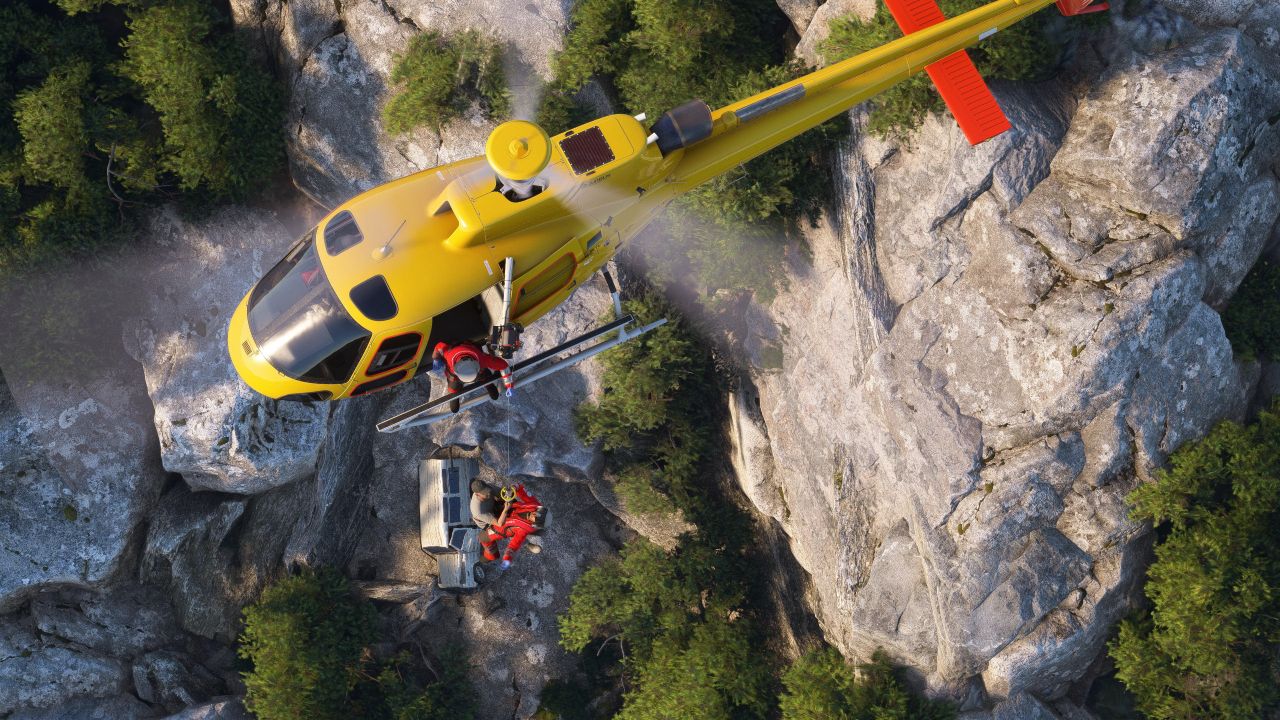 microsoft flight simulator 20241