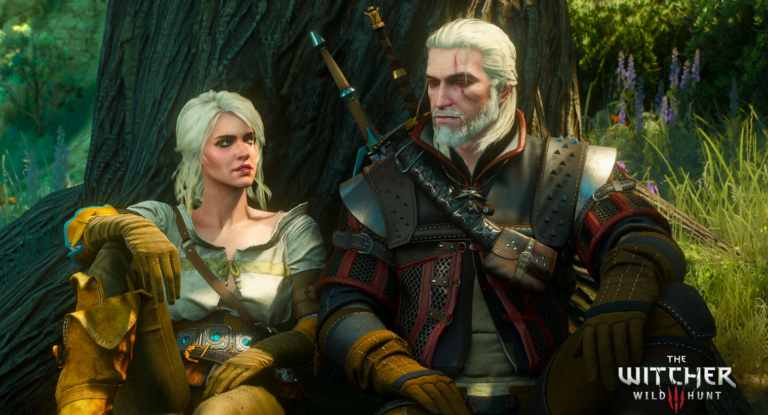the witcher 3