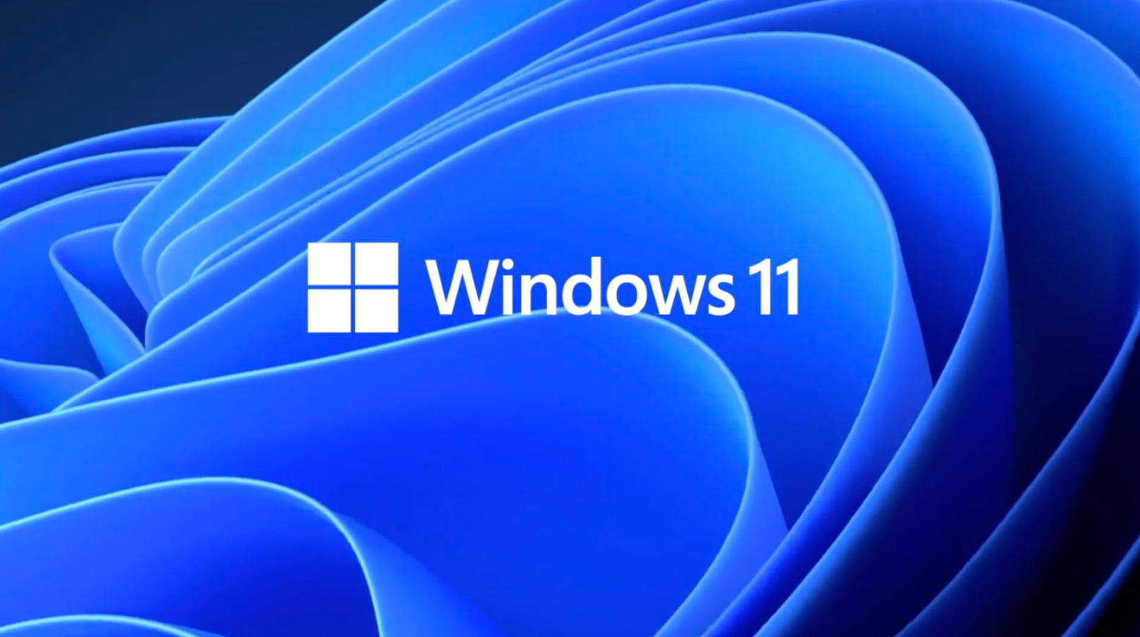 windows 11